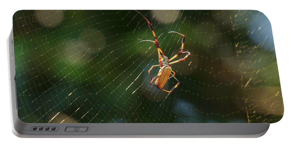 South Carolina Portable Battery Charger featuring the photograph Banana Spider in Web by Patricia Schaefer
