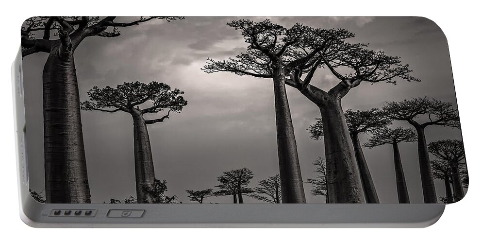 Baobab Portable Battery Charger featuring the photograph Baobab Highway by Linda Villers