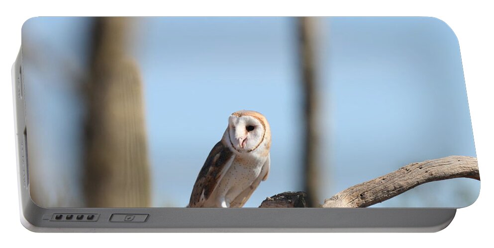 Owl Portable Battery Charger featuring the photograph Barn Owl by David S Reynolds