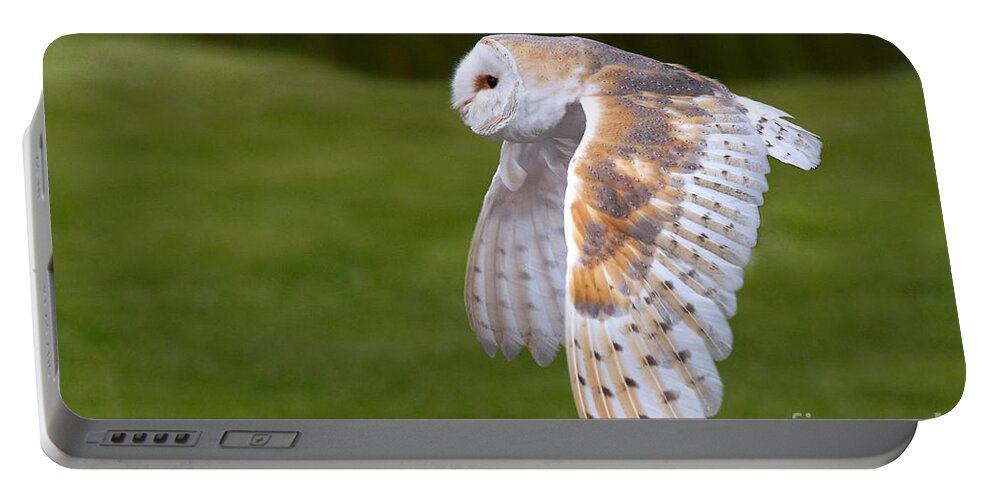 Action Portable Battery Charger featuring the photograph Barn Owl in flight by Nick Biemans