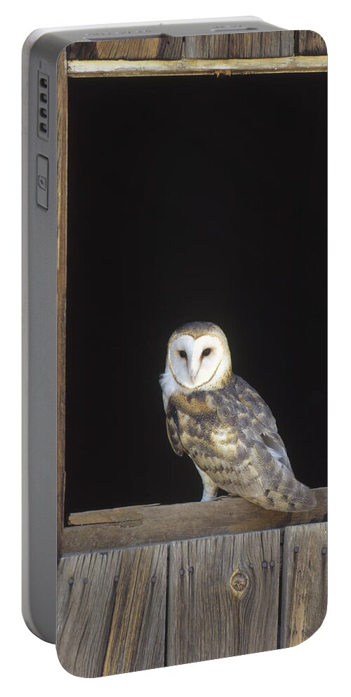 Feb0514 Portable Battery Charger featuring the photograph Barn Owl On Barn Window by Konrad Wothe