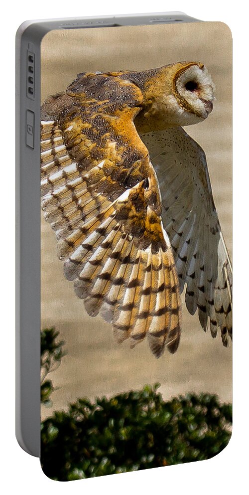 Barn Owl Portable Battery Charger featuring the photograph Barn Owl by Robert L Jackson