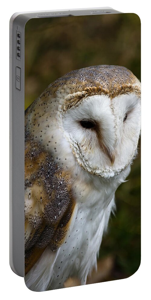 Barn Owl Portable Battery Charger featuring the photograph Barn Owl by Scott Carruthers