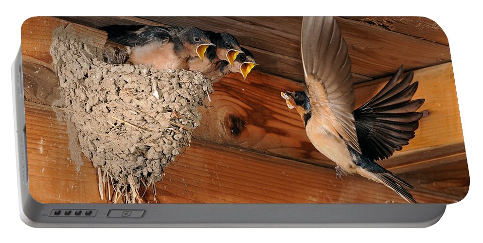 Barn Swallow Portable Battery Charger featuring the photograph Barn Swallow Nest by Scott Linstead