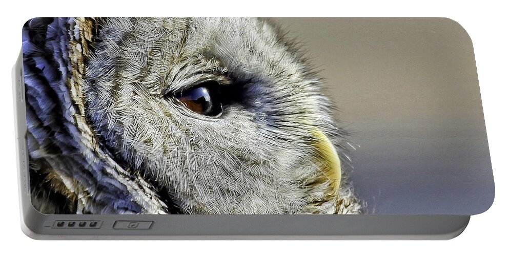 Barred Owl Portable Battery Charger featuring the photograph Barred None by Jan Killian