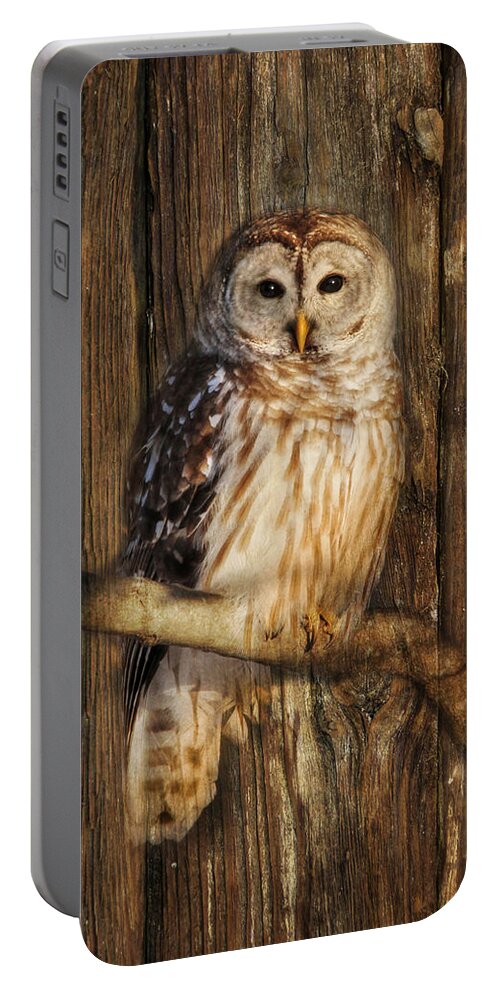 Barred Owl Portable Battery Charger featuring the photograph Barred Owl 1 by Lori Deiter