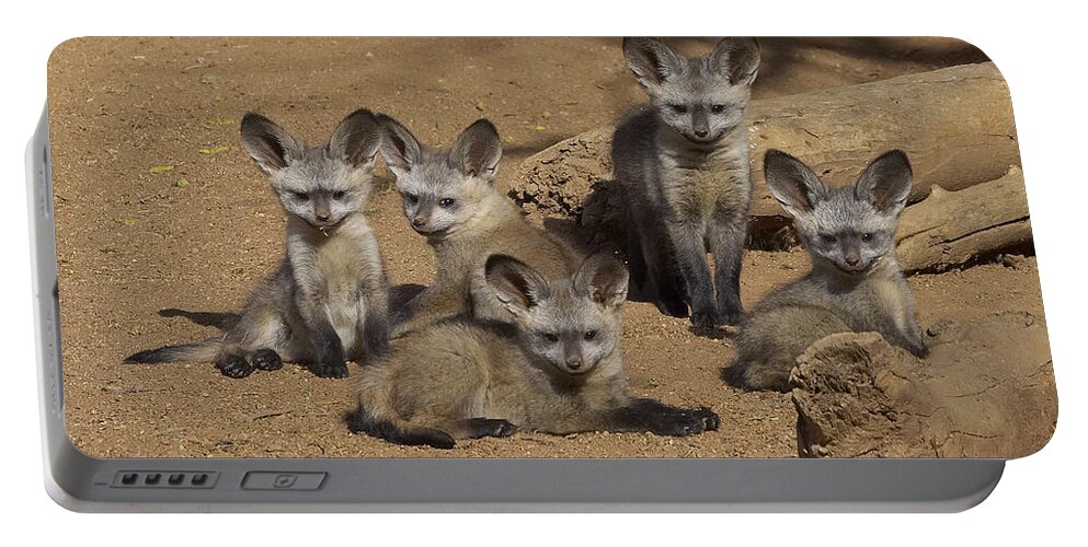 Feb0514 Portable Battery Charger featuring the photograph Bat-eared Fox Pups by San Diego Zoo