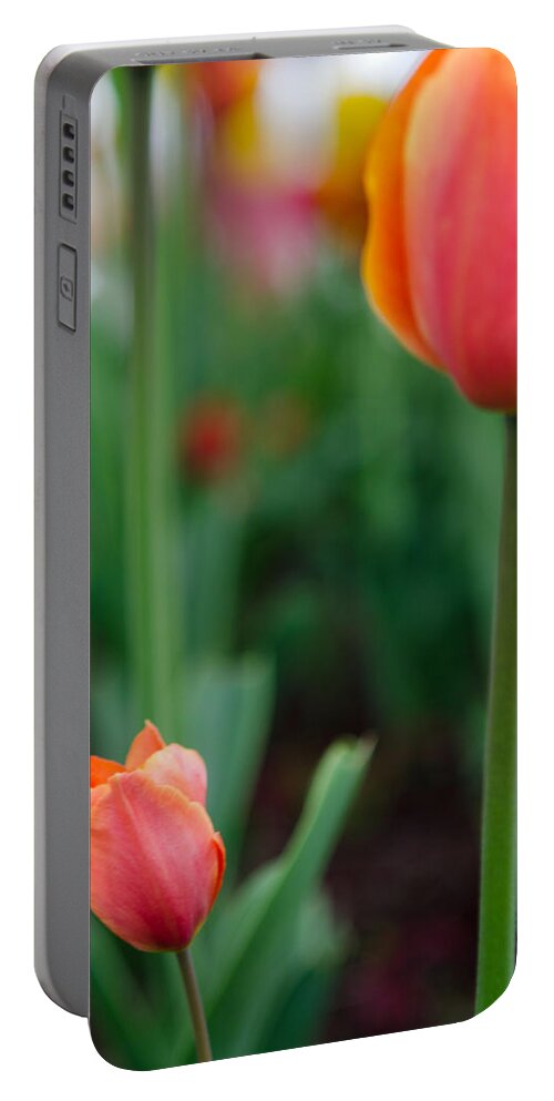 Tulip Portable Battery Charger featuring the photograph Be Like Mom by Kathy Paynter