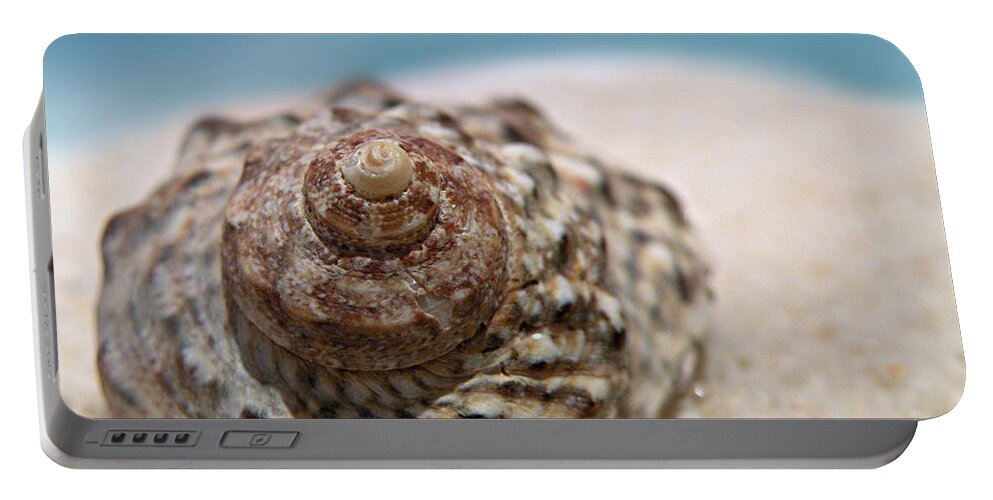 Beach Treasure Portable Battery Charger featuring the photograph Beach Treasure by Micki Findlay