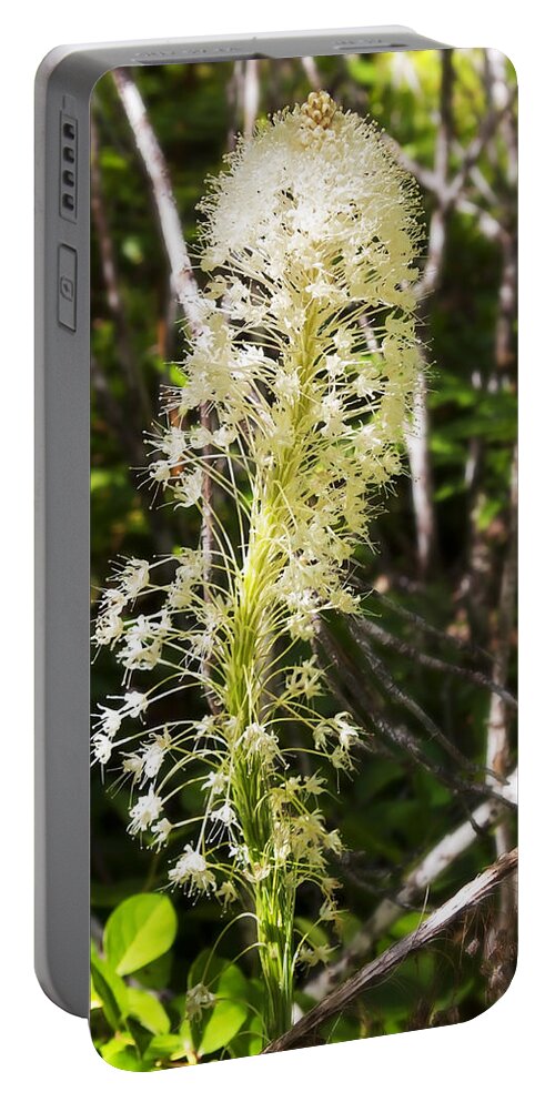 Art Portable Battery Charger featuring the photograph Bear Grass No 3 by Belinda Greb