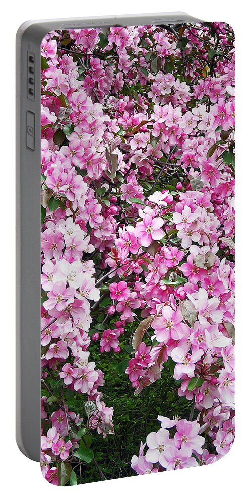 Tree Portable Battery Charger featuring the photograph Beautiful Blossoms by Aimee L Maher ALM GALLERY