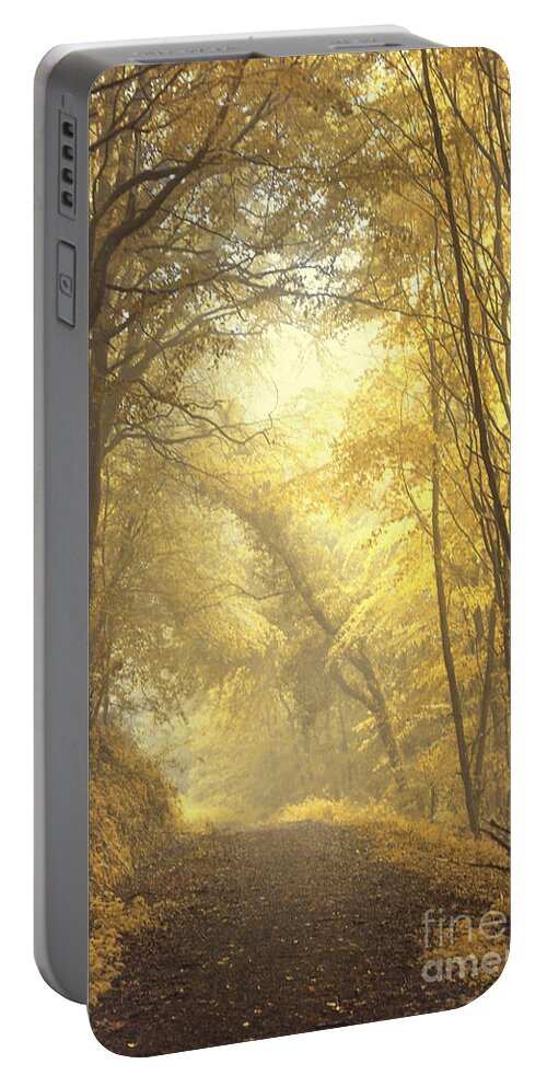 Alley Portable Battery Charger featuring the photograph Beautiful Fall by Evelina Kremsdorf