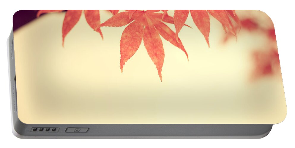 Autumn Portable Battery Charger featuring the photograph Beautiful Fall by Hannes Cmarits