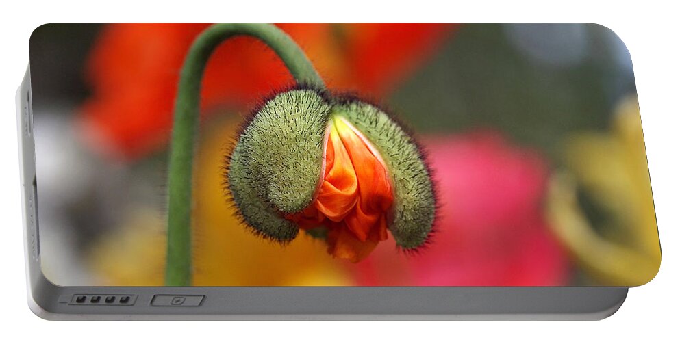 Poppy Portable Battery Charger featuring the photograph Beautiful Ugly by Rona Black