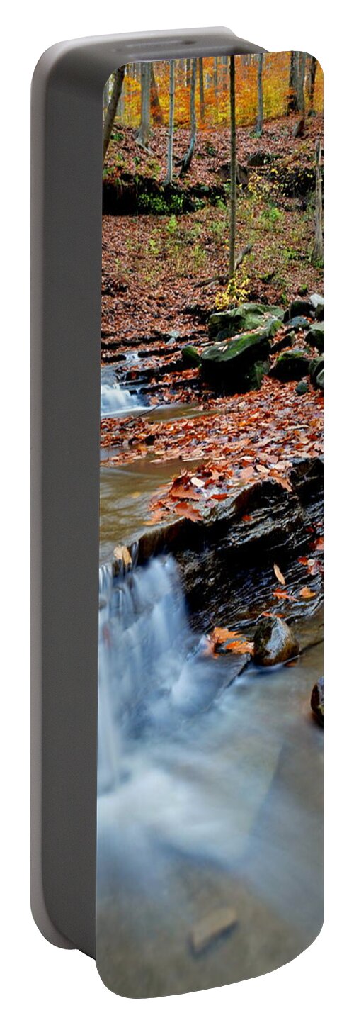 Behold Portable Battery Charger featuring the photograph Beauty is in the Eye of the Beholder by Frozen in Time Fine Art Photography