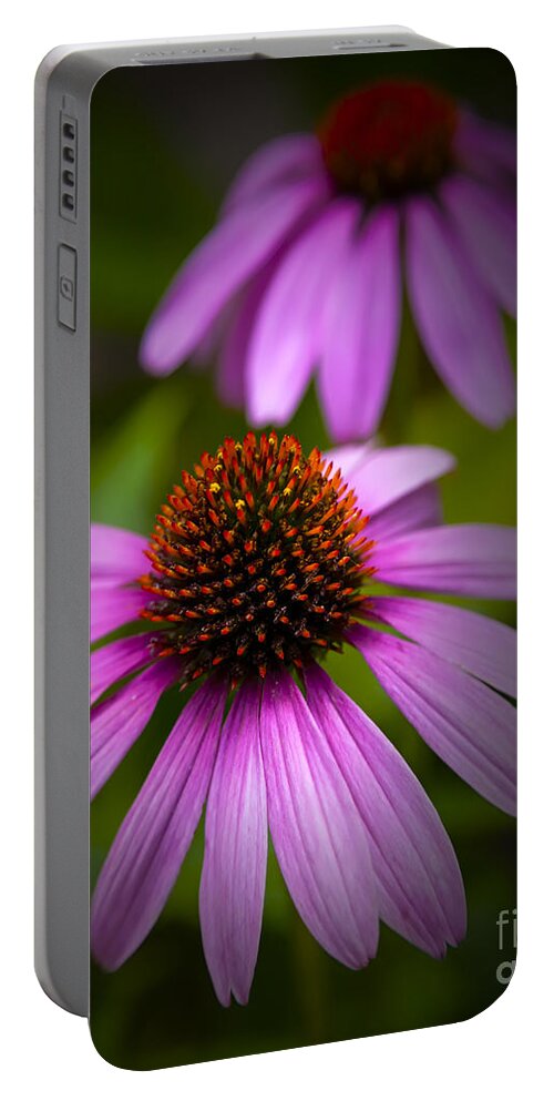 Echinacea Portable Battery Charger featuring the photograph Beauty of Life by David Millenheft