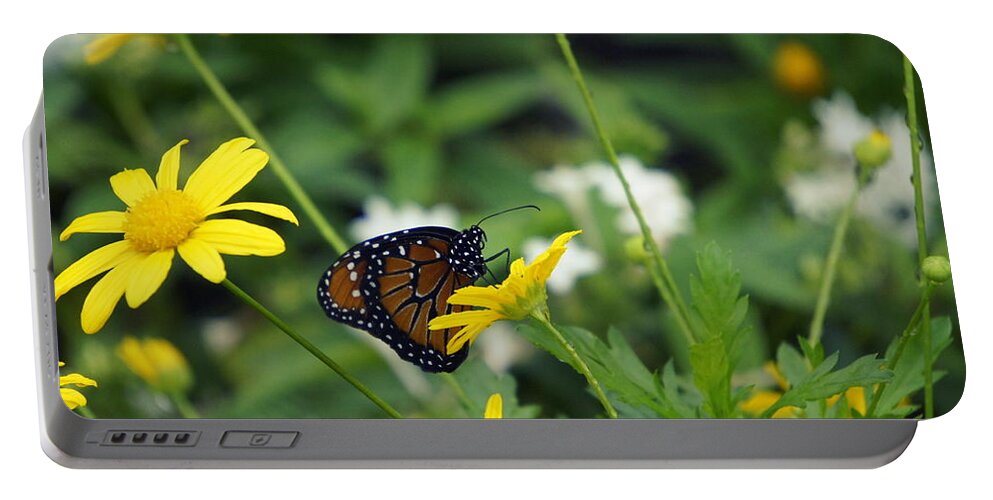 Butterfly On A Flower Portable Battery Charger featuring the photograph Beauty of Spring by Laurie Perry