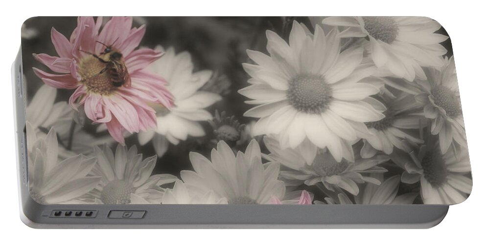 Flowers Portable Battery Charger featuring the photograph Bee And Daisies In Partial Color by Smilin Eyes Treasures