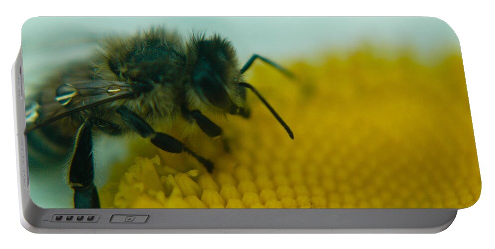Rhonda Barrett Portable Battery Charger featuring the photograph Bee Close Up by Rhonda Barrett