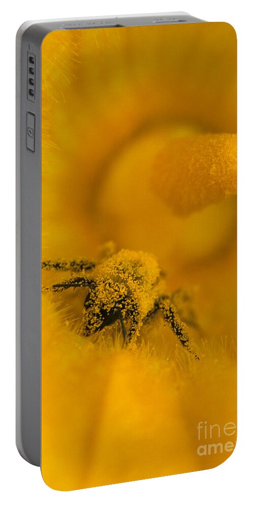 Bee Portable Battery Charger featuring the photograph Bee in Pollen by Chris Scroggins
