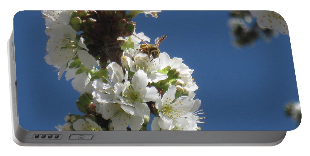 Bee Portable Battery Charger featuring the photograph Bee on Cherry Blossoms by Ron Monsour