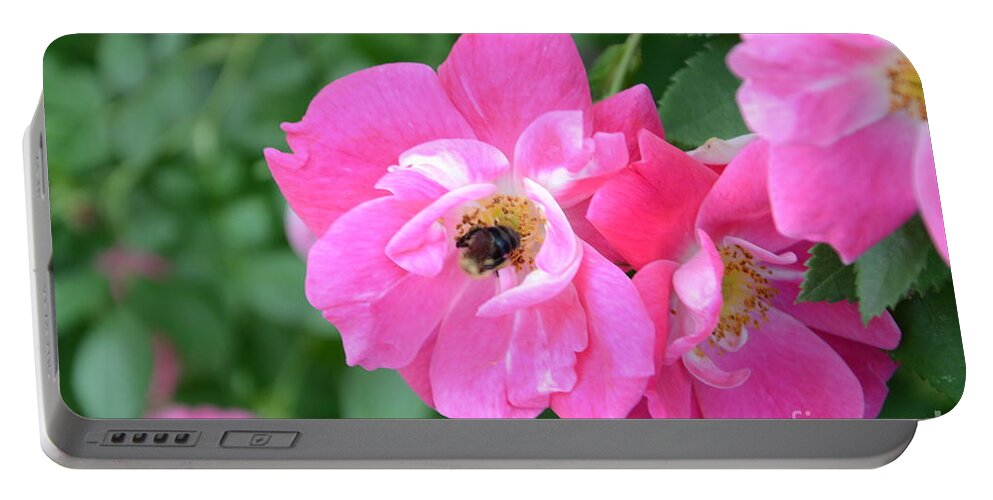Bee Portable Battery Charger featuring the photograph Bee Rosy by Laurel Best