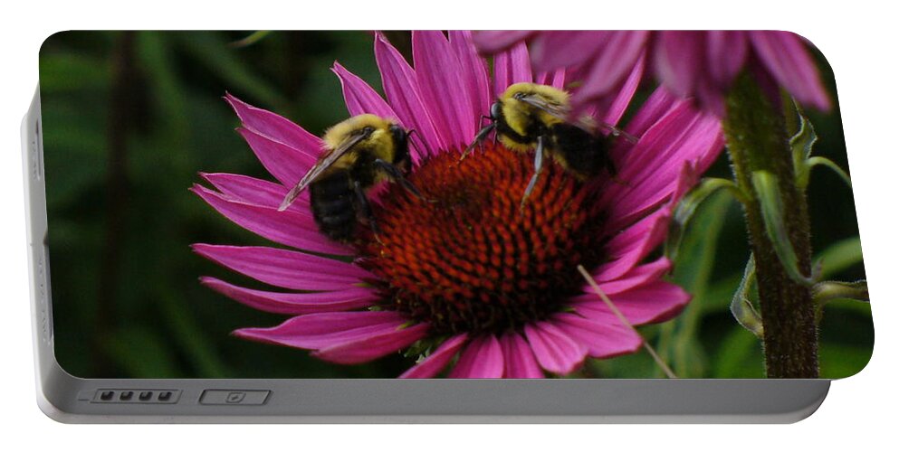 Bees Portable Battery Charger featuring the photograph Beelievers by Lingfai Leung