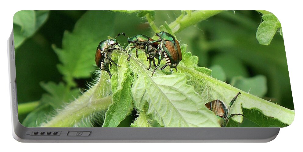 Beetles Portable Battery Charger featuring the photograph Beetle Posse by Thomas Woolworth