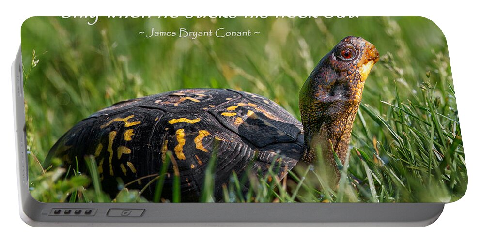 Turtle Portable Battery Charger featuring the photograph Behold The Turtle by Bill Wakeley