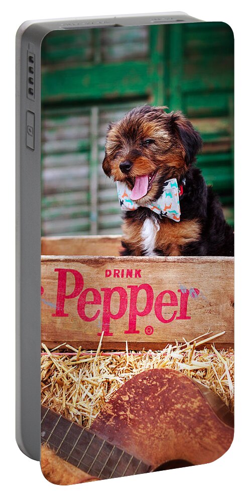 The Yorkshire Terrier Is A Small Dog Breed Of Terrier Type Portable Battery Charger featuring the photograph Belly Laugh by Sennie Pierson