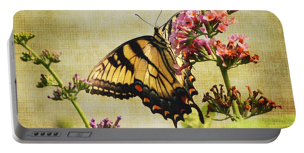 Butterfly Portable Battery Charger featuring the photograph Best View by Judy Wolinsky