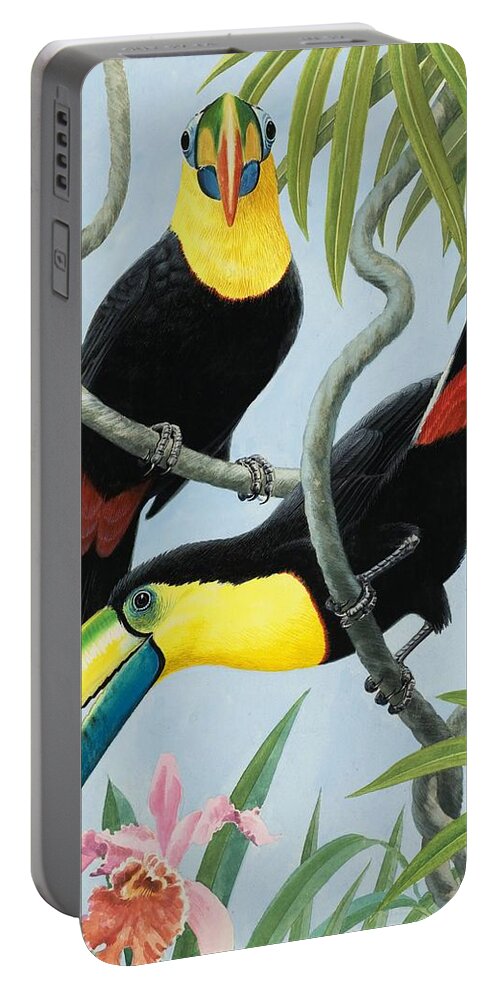 Birds Nest Portable Battery Charger featuring the painting Big-beaked Birds by RB Davis