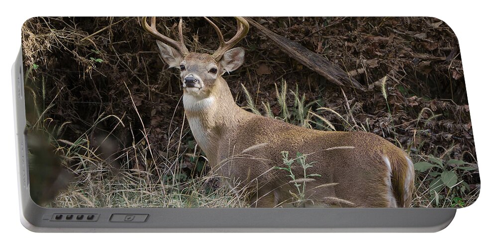 White Tail Portable Battery Charger featuring the photograph Big Buck by John Johnson