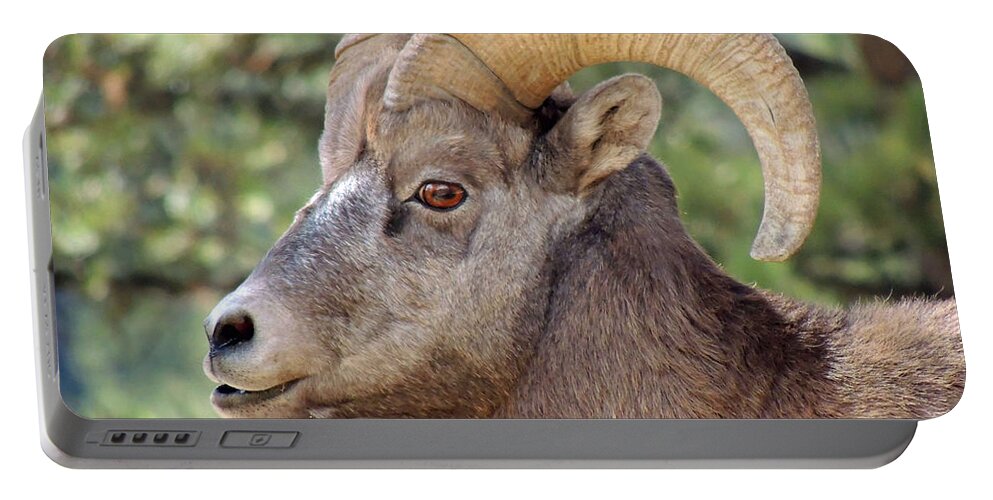 Big Horn Portable Battery Charger featuring the photograph Big Horn by Lynn Sprowl