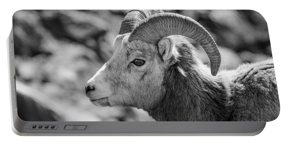 Big Horn Sheep Portable Battery Charger featuring the photograph Big Horn Sheep Profile by Roxy Hurtubise