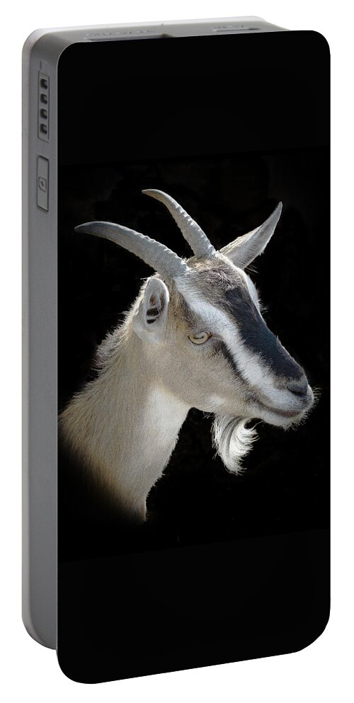Portrait Of A Billy Goat Portable Battery Charger featuring the photograph Billy Goat by Kenneth Cole