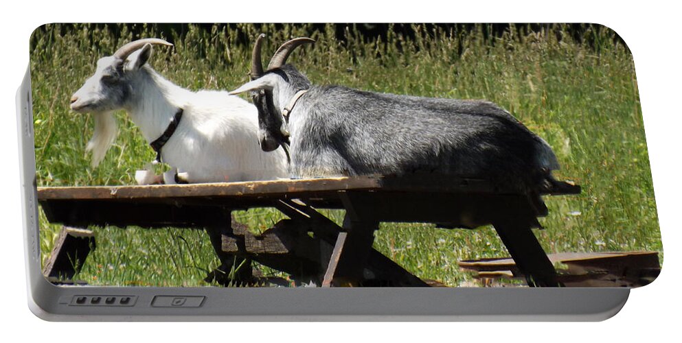 Billy Portable Battery Charger featuring the photograph Billy Goats Picnic by Brenda Brown