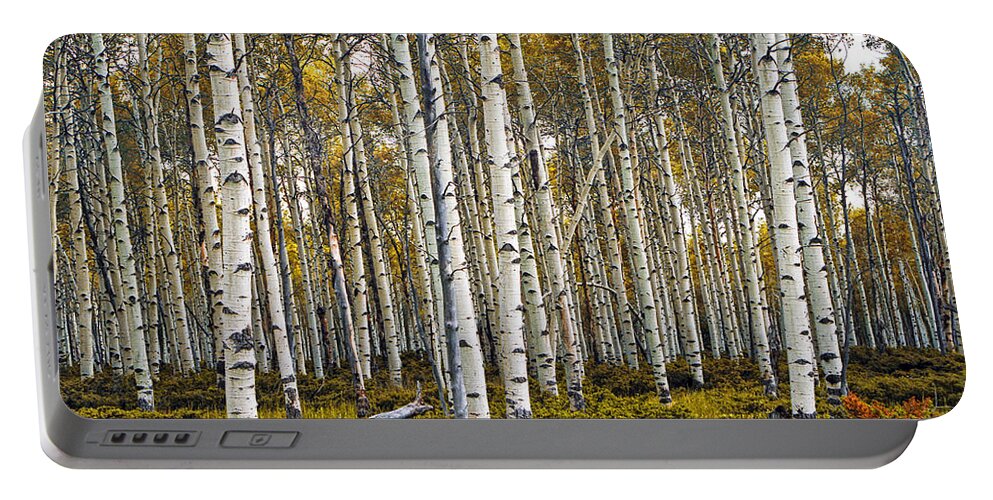 Forest Portable Battery Charger featuring the photograph Aspen Trees in Autumn by Randall Nyhof