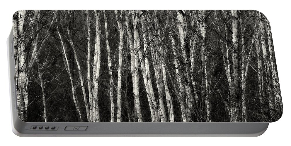 B&w Portable Battery Charger featuring the photograph Birches by Roberto Pagani