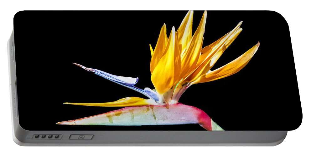 Bird Of Paradise Portable Battery Charger featuring the photograph Bird of Paradise Flower by Lynn Bolt
