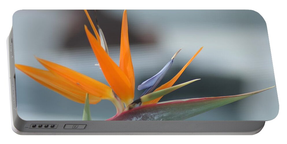 Bird Of Paradise Portable Battery Charger featuring the photograph Bird of Paradise by PJQandFriends Photography