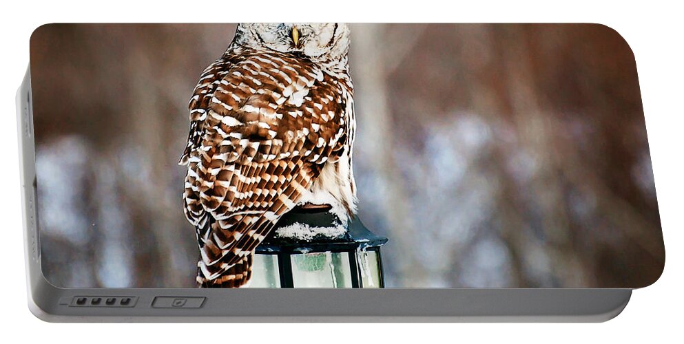 Barred Owl Print Portable Battery Charger featuring the photograph Bird of Prey Barred Owl by Gwen Gibson