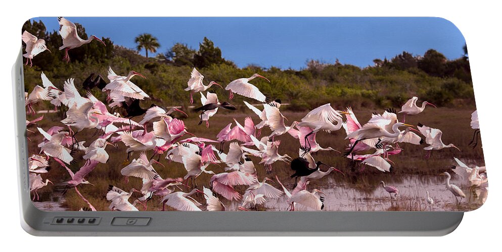Birds Portable Battery Charger featuring the photograph Birds Call To Flight by John M Bailey