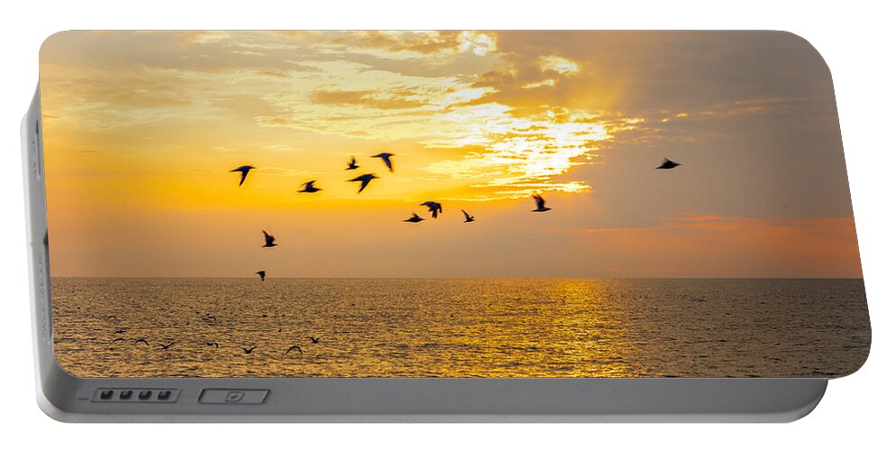 Lake Erie Portable Battery Charger featuring the photograph Birds in Lake Erie Sunset by David Coblitz