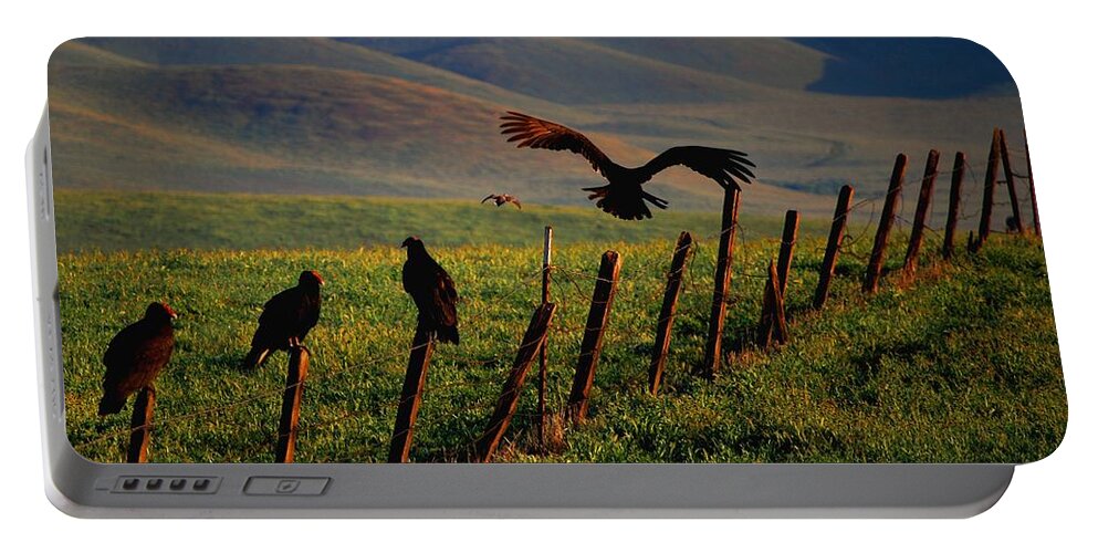 Birds Portable Battery Charger featuring the photograph Birds on a Fence by Matt Quest