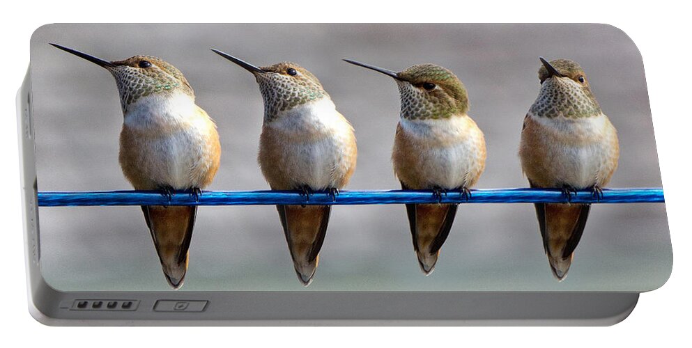 Rufous Hummingbird Portable Battery Charger featuring the photograph Birds on a Wire by Randy Hall