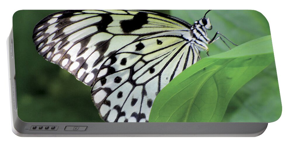 Butterfly Portable Battery Charger featuring the digital art Black and White Butterfly by Bob Slitzan