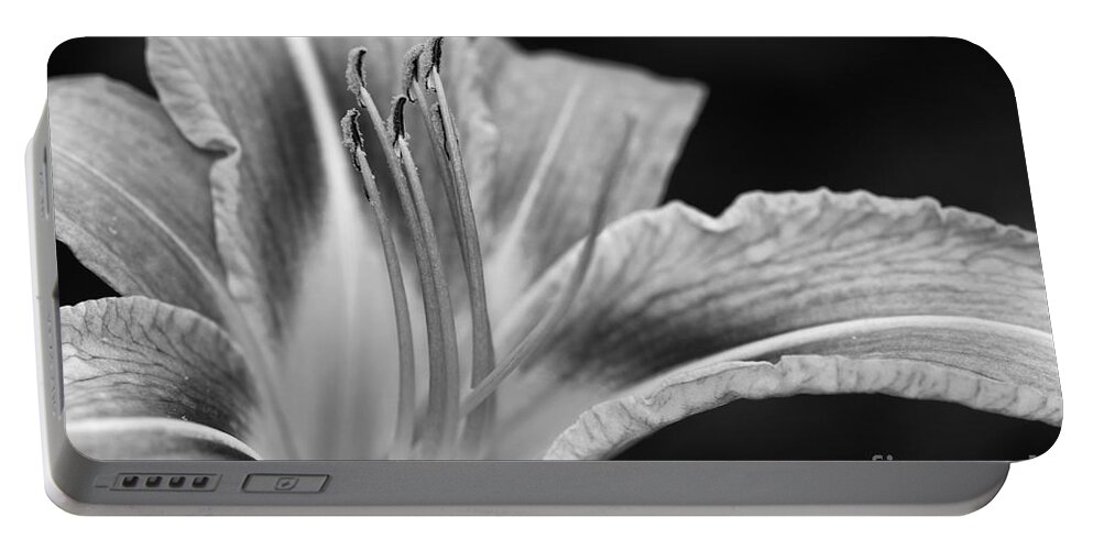 Flower Portable Battery Charger featuring the photograph Black and white Daylily flower by Martin Capek