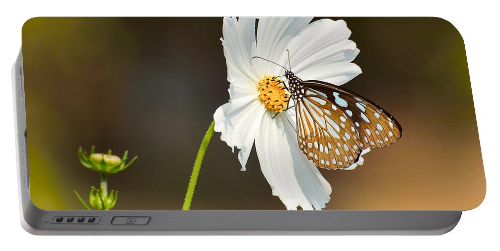 Flower Portable Battery Charger featuring the photograph Black and white by Fotosas Photography