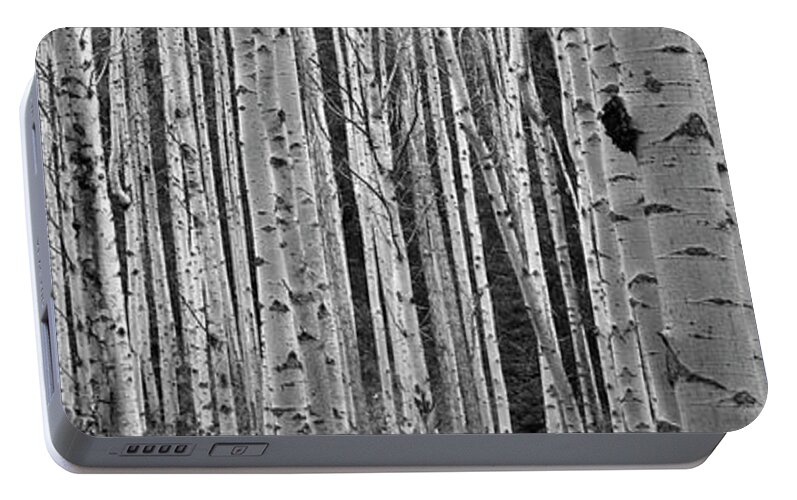 Photography Portable Battery Charger featuring the photograph Black And White Of Aspen Trees by Panoramic Images